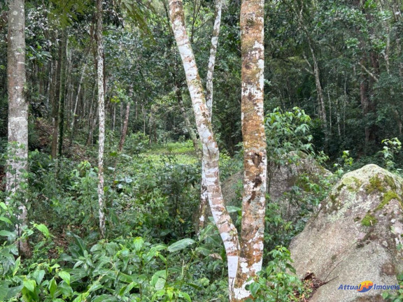 Imagem Imóvel com 8 Quartos à Venda, 900 m² em Serrinha - Teresópolis Imagem Imóvel com 8 Quartos à Venda, 900 m² em Serrinha - Teresópolis