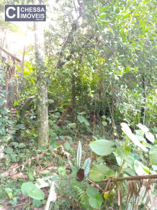 Imagem Terreno à Venda, 880 m² em São Judas - Itajaí Imagem Terreno à Venda, 880 m² em São Judas - Itajaí