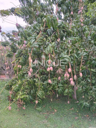 Imagem Chácara com 2 Quartos à Venda, 1.000 m² em Vivendas Do Engenho D'água - Itatiba Imagem Chácara com 2 Quartos à Venda, 1.000 m² em Vivendas Do Engenho D'água - Itatiba