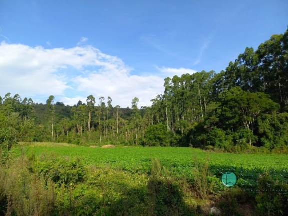 Imagem Imóvel à Venda, 170.000 m² em Zona Rural - Alfredo Wagner Imagem Imóvel à Venda, 170.000 m² em Zona Rural - Alfredo Wagner
