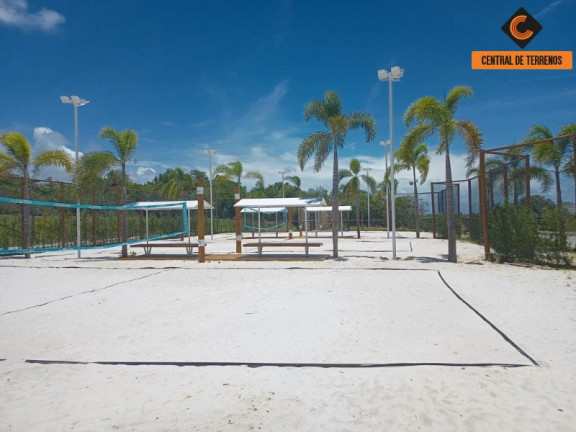 Imagem Terreno à Venda, 800 m² em Praia Do Forte - Mata De São João Imagem Terreno à Venda, 800 m² em Praia Do Forte - Mata De São João