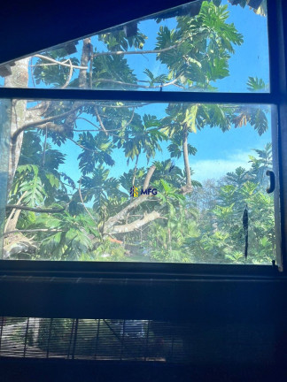 Imagem Casa com 3 Quartos à Venda, 5.000 m² em Praia De Maresias - São Sebastião