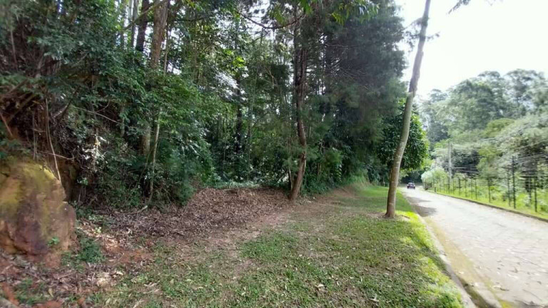Imagem Terreno à Venda, 2.500 m² em Vila Real Do Moinho Velho - Embu Das Artes Imagem Terreno à Venda, 2.500 m² em Vila Real Do Moinho Velho - Embu Das Artes