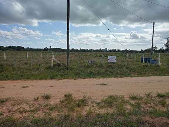 Imagem Chácara com 2 Quartos à Venda, 7.500 m² em Morro Grande - Viamão
