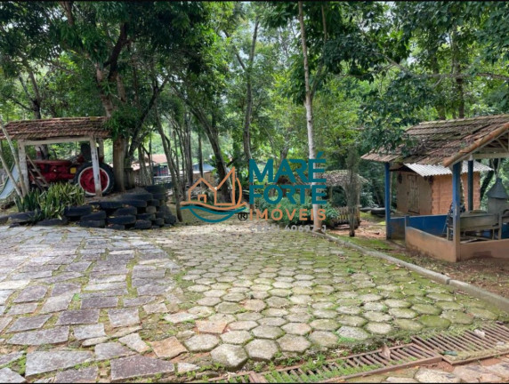 Imagem Fazenda à Venda, 56 m² em Centro - São José Do Alegre Imagem Fazenda à Venda, 56 m² em Centro - São José Do Alegre