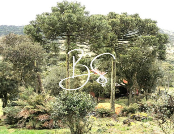 Imagem Imóvel com 2 Quartos à Venda, 20.000 m² em Urubici - Urubici