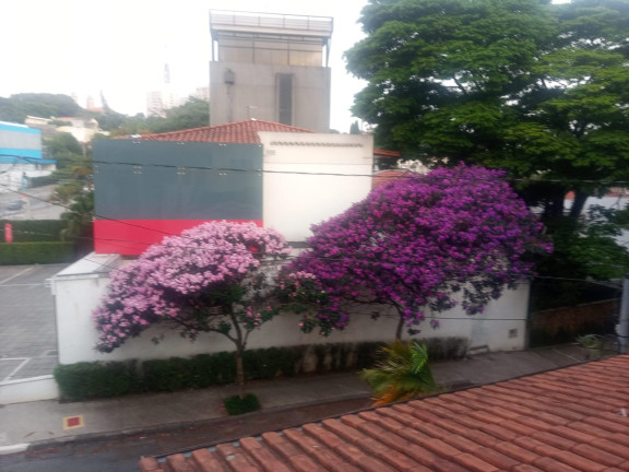 Imagem Casa com 3 Quartos à Venda, 200 m² em Vila Madalena - São Paulo