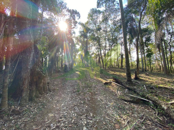 Imagem Terreno em Condomínio à Venda, 3.000 m² em Portão - Atibaia Imagem Terreno em Condomínio à Venda, 3.000 m² em Portão - Atibaia