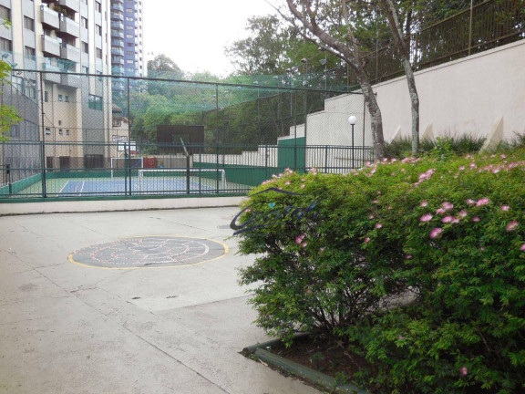 Imagem Apartamento com 3 Quartos à Venda, 96 m² em Vila Indiana - São Paulo Imagem Apartamento com 3 Quartos à Venda, 96 m² em Vila Indiana - São Paulo