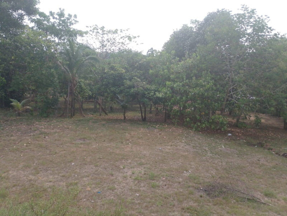 Imagem Chácara com 2 Quartos à Venda, 6.000 m² em Açutuba - Iranduba Imagem Chácara com 2 Quartos à Venda, 6.000 m² em Açutuba - Iranduba