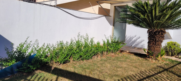 Imagem Imóvel com 3 Quartos para Alugar, 396 m² em Vila Planalto - Campo Grande Imagem Imóvel com 3 Quartos para Alugar, 396 m² em Vila Planalto - Campo Grande