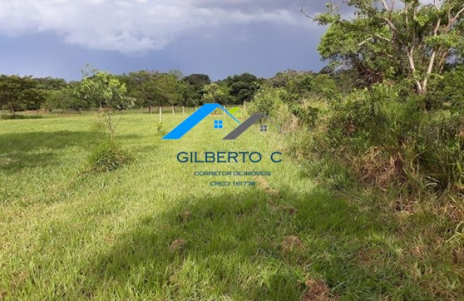 Imagem Imóvel à Venda, 7.685 m² em área Rural De Jacuba - Arealva Imagem Imóvel à Venda, 7.685 m² em área Rural De Jacuba - Arealva