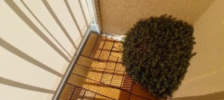 Imagem Apartamento com 2 Quartos à Venda, 47 m² em Taboão - São Bernardo Do Campo