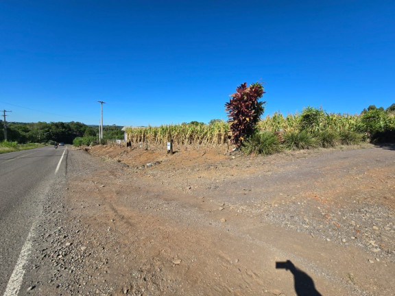 Imagem Chácara à Venda, 2.500 m² em Linha Santa Cruz - Santa Cruz Do Sul