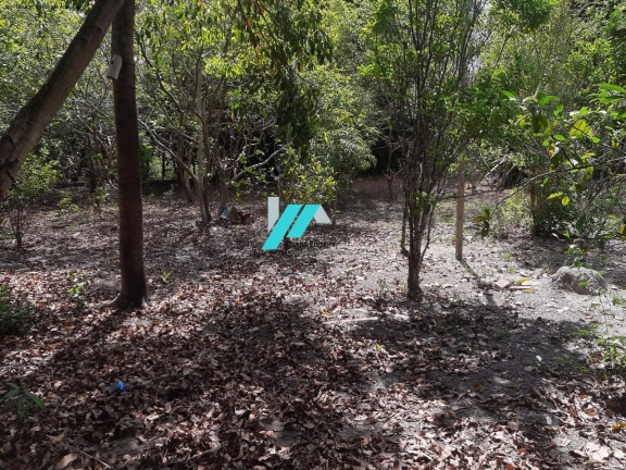 Imagem Fazenda à Venda, 5.000 m² em Zona Rural - Piracema Imagem Fazenda à Venda, 5.000 m² em Zona Rural - Piracema