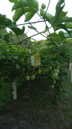 Imagem Chácara com 2 Quartos à Venda, 14.600 m² em Povoado - Pedras De Fogo