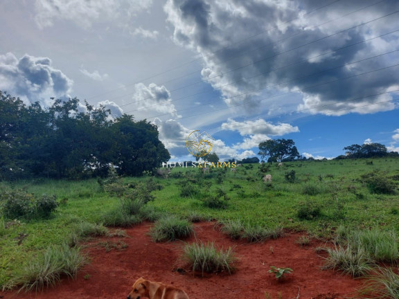 Imagem Imóvel com 3 Quartos à Venda, 45.500 m² em Zona Rural - Minaçu Imagem Imóvel com 3 Quartos à Venda, 45.500 m² em Zona Rural - Minaçu