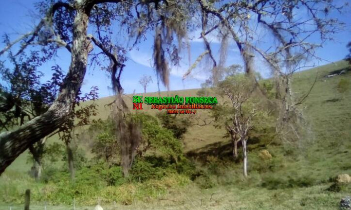 Imagem Fazenda à Venda, 4.356.000 m² em Centro - Paraibuna Imagem Fazenda à Venda, 4.356.000 m² em Centro - Paraibuna