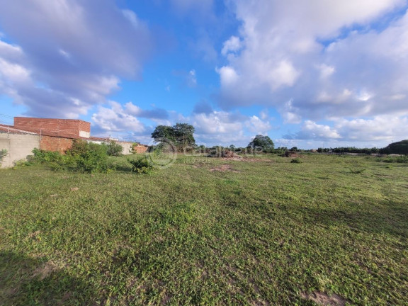 Imagem Terreno à Venda, 170.000 m² em Jardins - São Gonçalo Do Amarante Imagem Terreno à Venda, 170.000 m² em Jardins - São Gonçalo Do Amarante