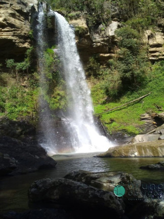 Imóvel à Venda, 1.600.000 m² em Zona Rural - Vidal Ramos