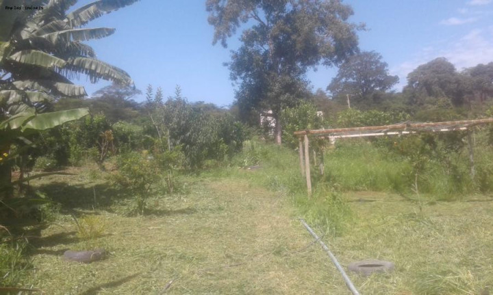 Imagem Chácara com 3 Quartos à Venda, 90 m² em Azurita - Mateus Leme