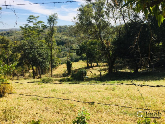 Imagem Chácara com 4 Quartos à Venda, 110 m² em Pedregulho - São João Da Boa Vista Imagem Chácara com 4 Quartos à Venda, 110 m² em Pedregulho - São João Da Boa Vista