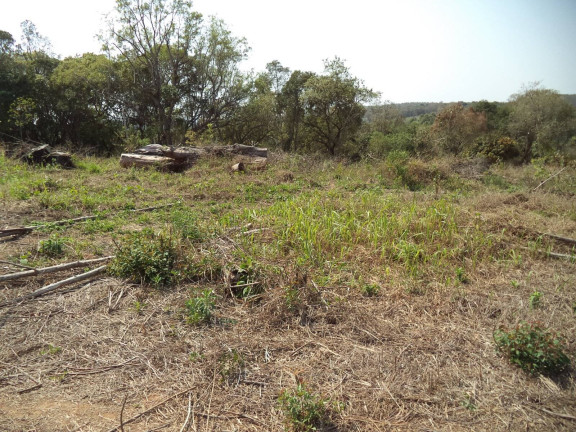 Imagem Chácara com 4 Quartos à Venda, 63.000 m² em Douradinho - Piedade