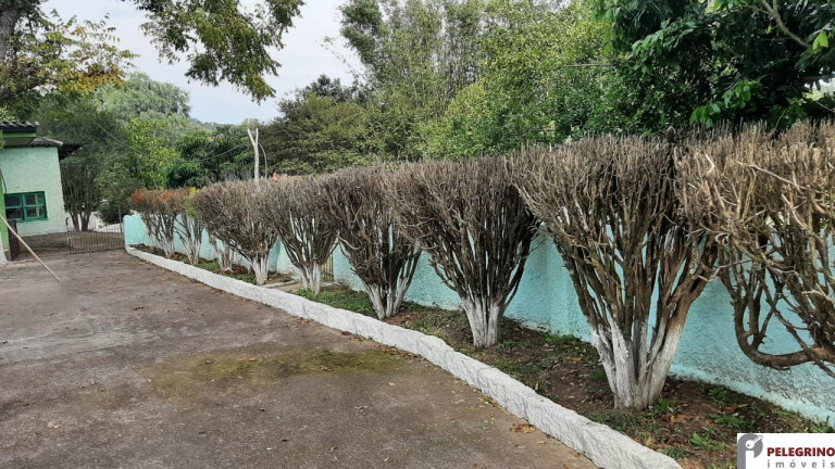 Imagem Casa com 2 Quartos à Venda, 301 m² em Zona Rural - Sentinela Do Sul Imagem Casa com 2 Quartos à Venda, 301 m² em Zona Rural - Sentinela Do Sul