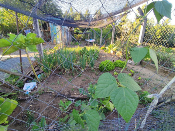 Imagem Casa com 3 Quartos à Venda, 293 m² em Trigolândia - Piên