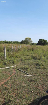 Imagem Fazenda à Venda, 1.400 m² em Alenquer Imagem Fazenda à Venda, 1.400 m² em Alenquer