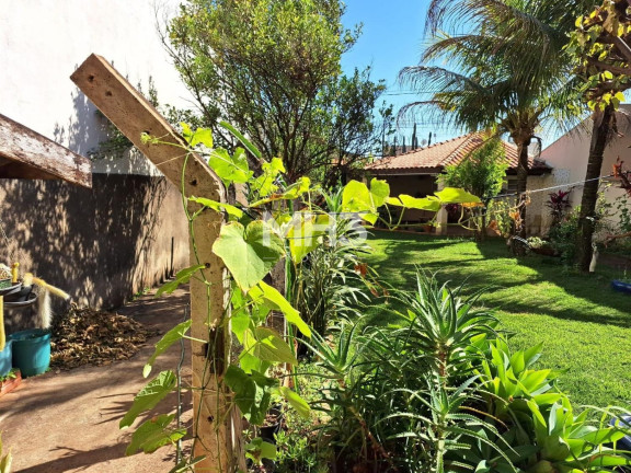 Imagem Terreno à Venda, 272 m² em Jardim Residencial Veccon - Sumaré Imagem Terreno à Venda, 272 m² em Jardim Residencial Veccon - Sumaré