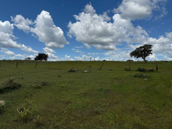 Imagem Fazenda à Venda, em Bom Jardim De Goiás Imagem Fazenda à Venda, em Bom Jardim De Goiás