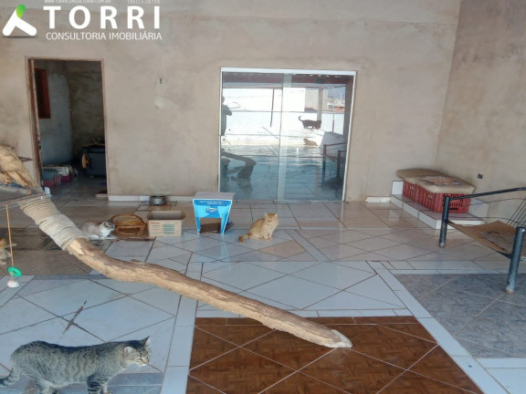 Imagem Sobrado com 2 Quartos à Venda, 350 m² em Jardim Santa Esmeralda - Sorocaba Imagem Sobrado com 2 Quartos à Venda, 350 m² em Jardim Santa Esmeralda - Sorocaba
