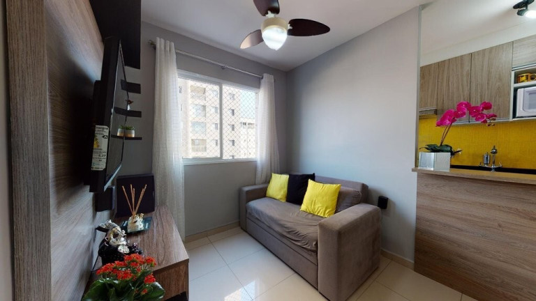 Imagem Apartamento com 1 Quarto à Venda, 33 m² em Cambuci - São Paulo Imagem Apartamento com 1 Quarto à Venda, 33 m² em Cambuci - São Paulo