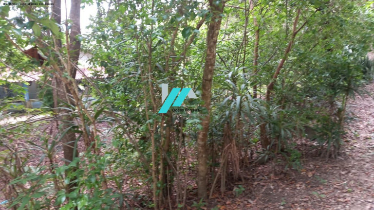 Imagem Fazenda à Venda, 7.000 m² em Parque Ipiranga - Betim Imagem Fazenda à Venda, 7.000 m² em Parque Ipiranga - Betim