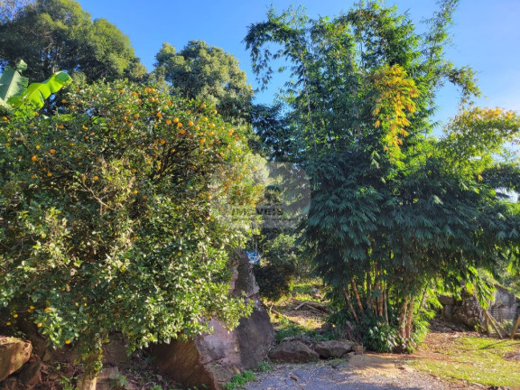 Imagem Imóvel com 2 Quartos à Venda, 80 m² em Pinhal Alto - Nova Petrópolis