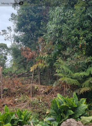 Imagem Terreno à Venda, 360 m² em Nereidas - Guaratuba
