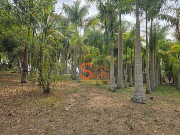Imagem Terreno à Venda, 24.200 m² em Chácara São José - Jaguariúna