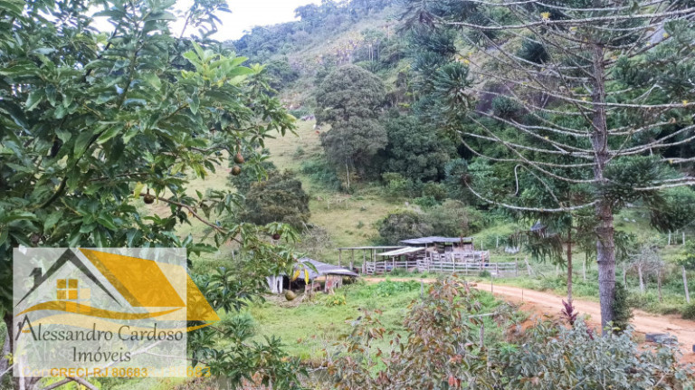 Chácara com 3 Quartos à Venda, 146.000 m²