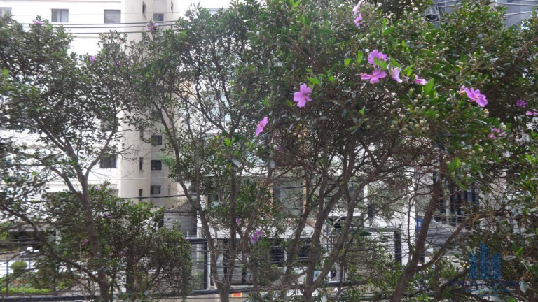 Imagem Apartamento com 3 Quartos à Venda, 120 m² em Vila Mariana - São Paulo Imagem Apartamento com 3 Quartos à Venda, 120 m² em Vila Mariana - São Paulo