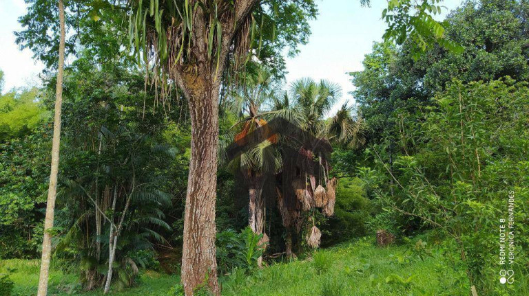 Imagem Chácara com 6 Quartos à Venda, 65.000 m² em Aldeia - Camaragibe