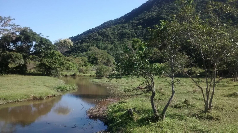Imagem Chácara à Venda, 4.800 m² em São João Do Rio Vermelho - Florianópolis Imagem Chácara à Venda, 4.800 m² em São João Do Rio Vermelho - Florianópolis
