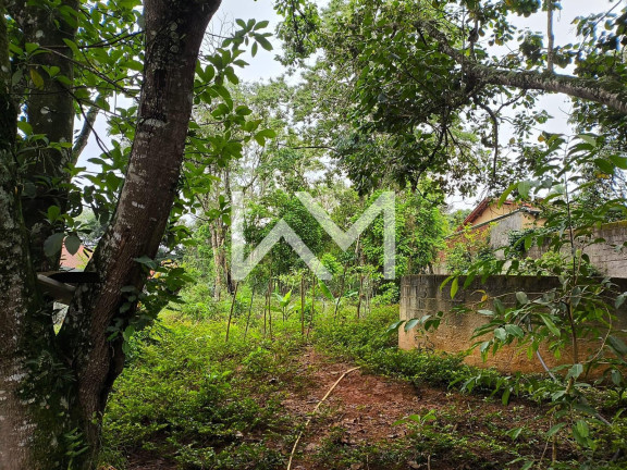 Imagem Terreno à Venda, 780 m² em Sítios De Recreio Rober - Guarulhos Imagem Terreno à Venda, 780 m² em Sítios De Recreio Rober - Guarulhos