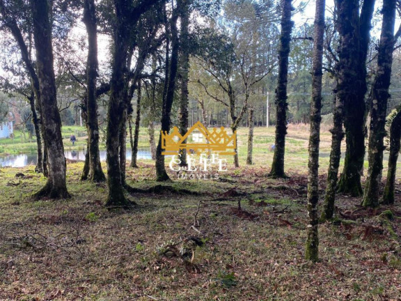 Imagem Imóvel à Venda, 20 m² em Serra Grande - Igrejinha Imagem Imóvel à Venda, 20 m² em Serra Grande - Igrejinha