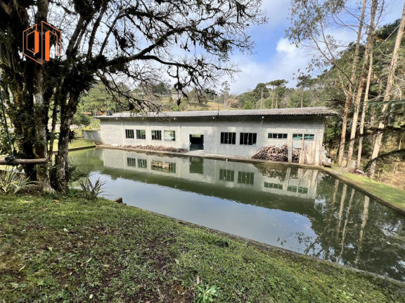 Imagem Imóvel à Venda, 4.000 m² em Borda Do Campo - São José Dos Pinhais