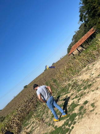 Fazenda à Venda,  em Cocais - Sarapuí