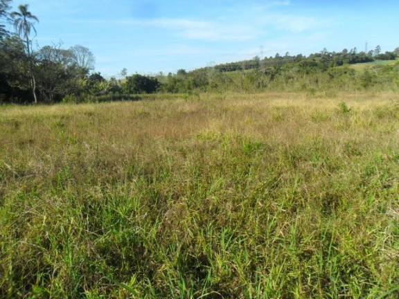 Imagem Fazenda à Venda, 98.000 m² em Cocuera - Mogi Das Cruzes Imagem Fazenda à Venda, 98.000 m² em Cocuera - Mogi Das Cruzes