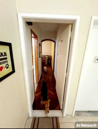Imagem Apartamento com 3 Quartos à Venda, 97 m² em Tijuca - Rio De Janeiro