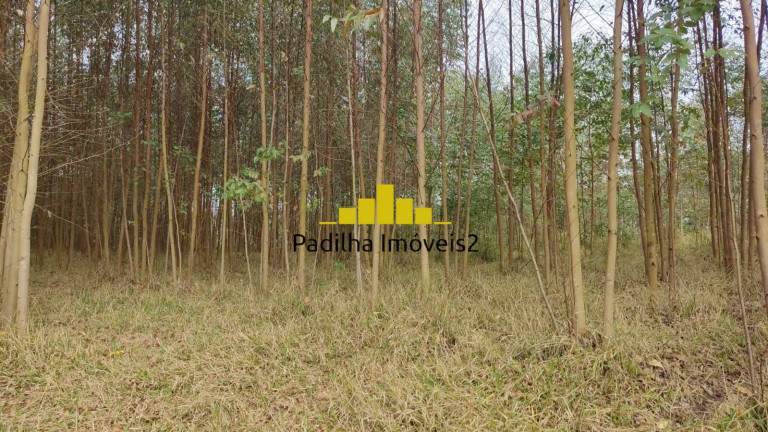 Chácara à Venda, 2 m² em Rural - Itapetininga
