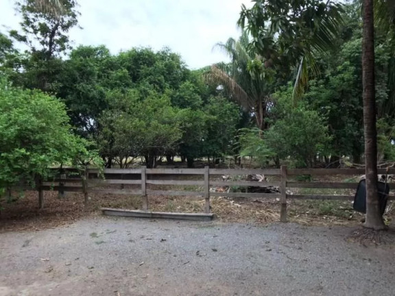 Imagem Fazenda à Venda, 1 m² em Zona Rural - Sinop Imagem Fazenda à Venda, 1 m² em Zona Rural - Sinop